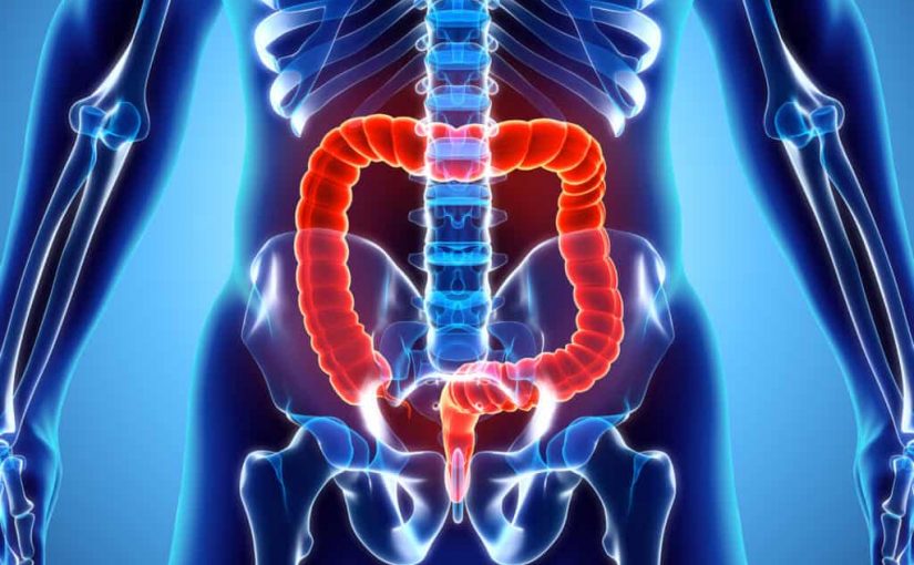 Colon Cleaning – The Health Advantages for cleaning Your Colon